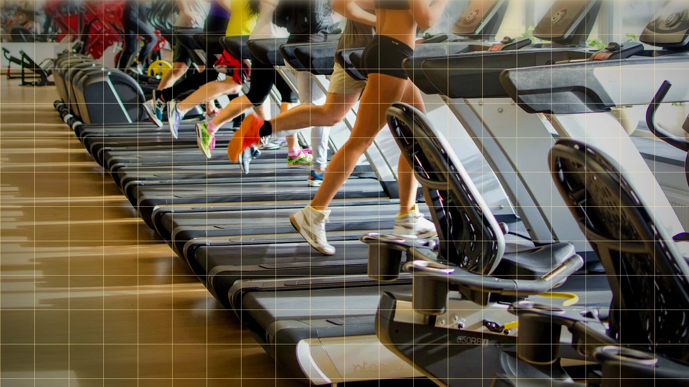 Gym and sports equipment for commercial fitness spaces.