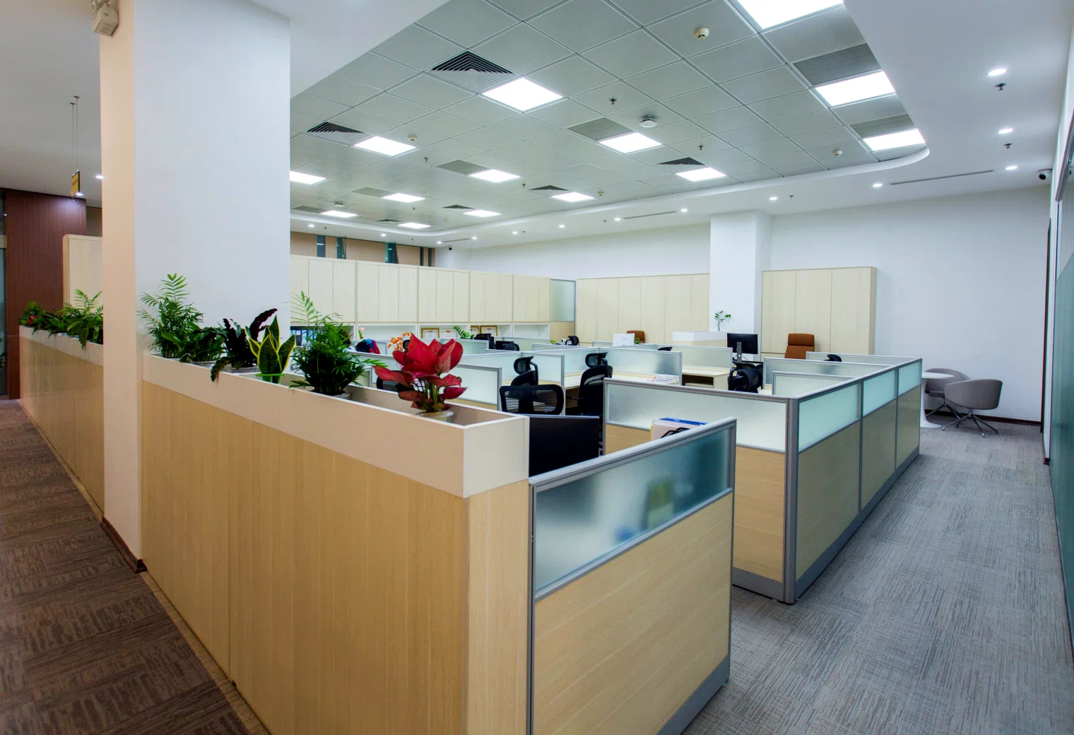 Partition System — photographic procurement reference image